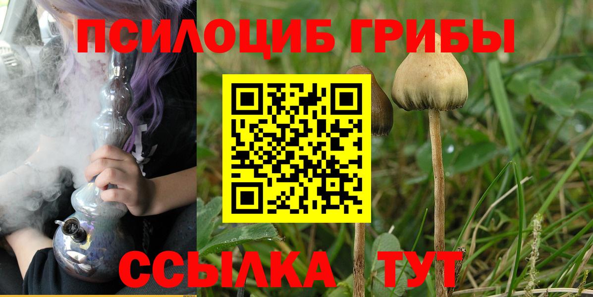 наркотики  Галлюциногенные грибы мухоморы  Вход с VPN  Псилоцибиновые грибы Psilocybine cubensis  Елец 